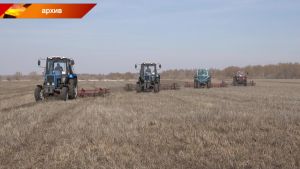 Все хозяйства Нурлатского района приступили к весенне-полевым работам